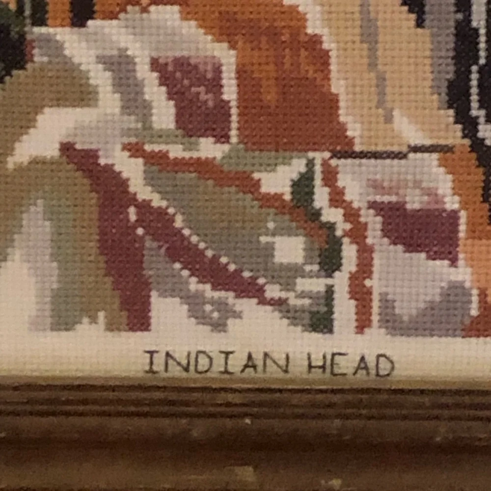 Vintage Framed Cross-Stitch Portrait of Native American Man